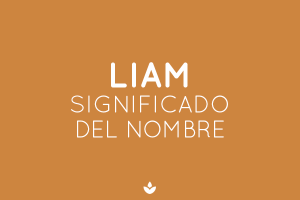 Significado de Liam