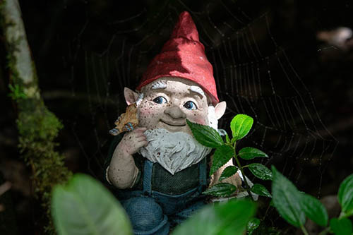 diferencia entre dundes y gnomps