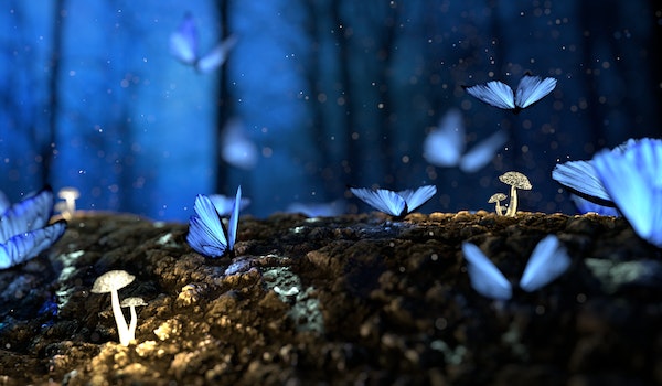 Qué significa soñar con mariposas azules